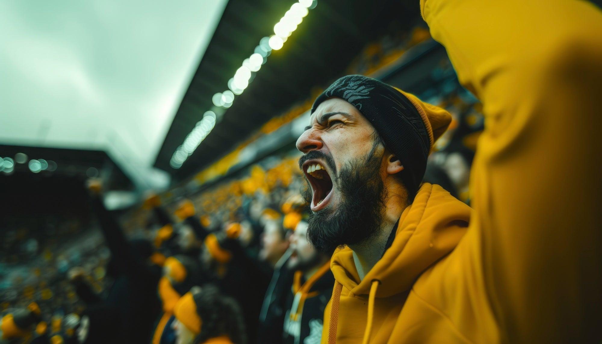 FanZone